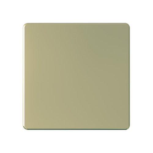 20A Flex Outlet Connection plate Gold – Snowlite