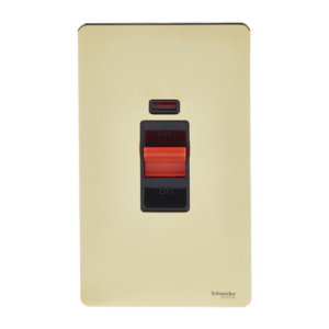SCHNEIDER 45A 1 Gang DP Switch With Neon 3x6 Polished Brass