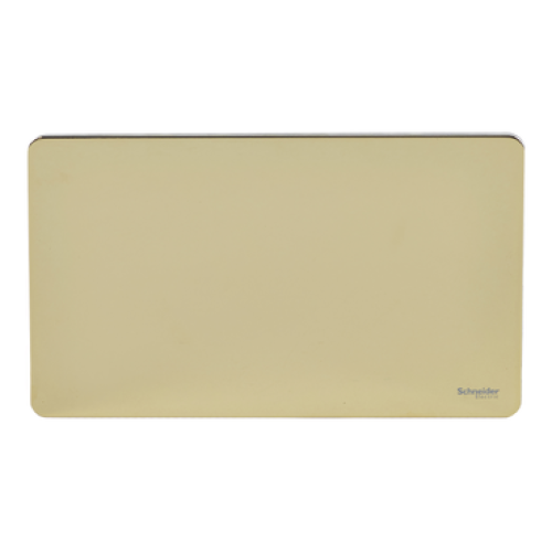 SCHNEIDER 2Gang Plate Polished Brass