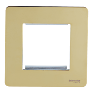 SCHNEIDER 2Gang Euro Plate  Polished Brass