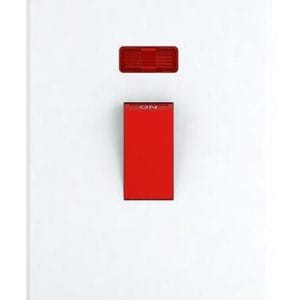 45A 1 Gang Double Pole Switch with Neon(3X6) - Snowlite
